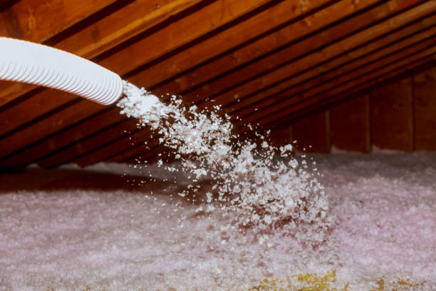 Attic Insulation Near Me in Egypt, AL