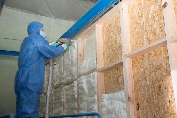 Best Residential Insulation Services  in Egypt, AL