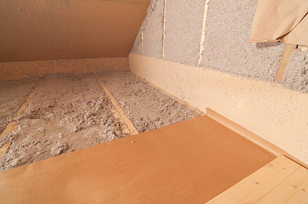 Best Insulation for New Construction  in Egypt, AL